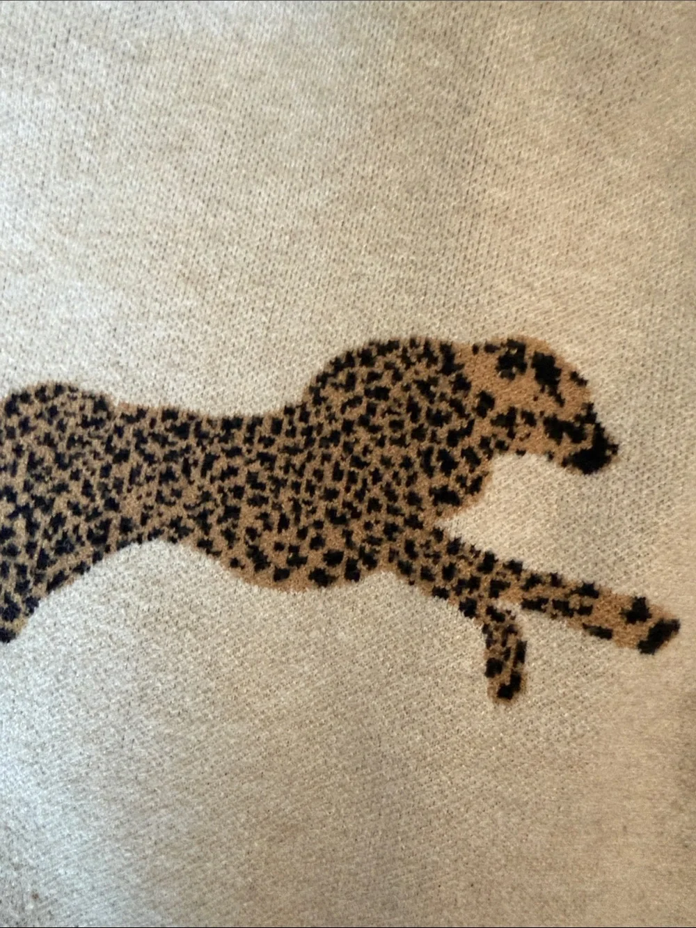 entro Beige Pullover with Brown Leopard-Cat Print